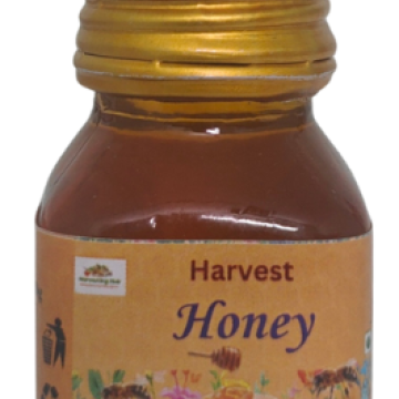 Harvest Honey 25g